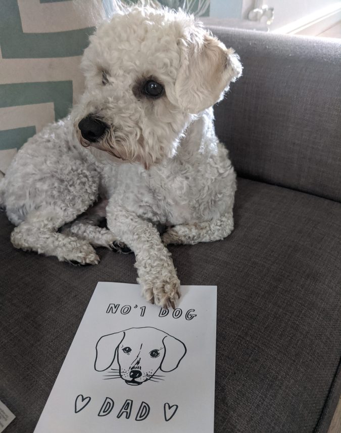 Father's Day 2020 How To Celebrate Whether Near Or Far by Fashion Du Jour LDN. White Poochon puppy with Fathers Day Card saying No. 1 Dog Dad